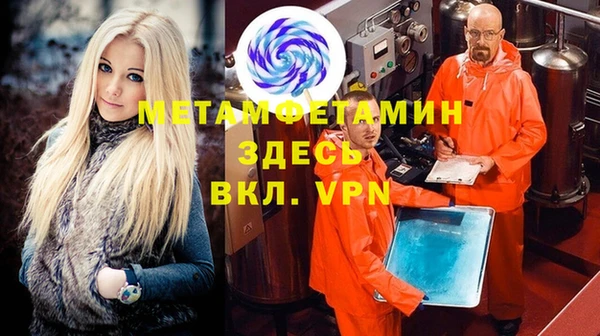 гидра Инта