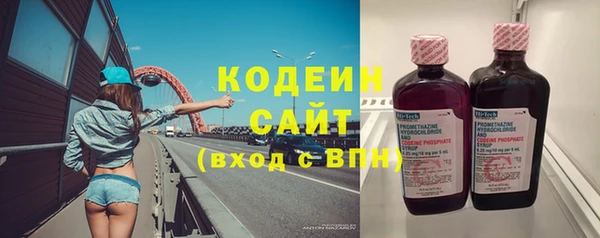 гидра Инта