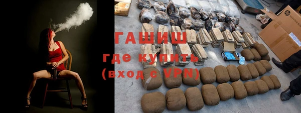 гидра Инта