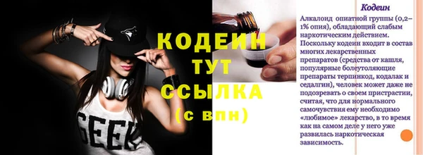гидра Инта