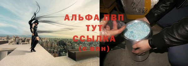 гидра Инта