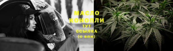 гидра Инта