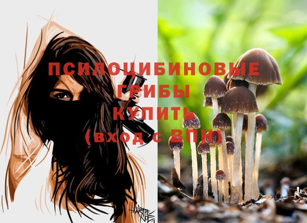 spice Иннополис