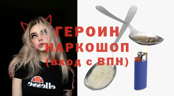гидра Инта