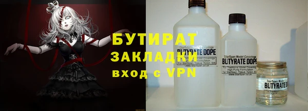 гидра Инта