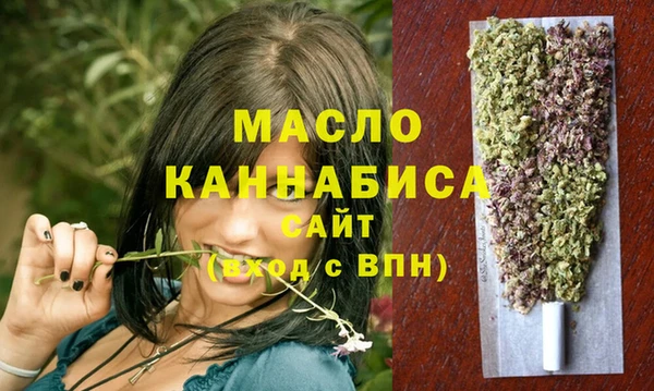гидра Инта