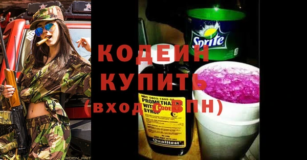 гидра Инта