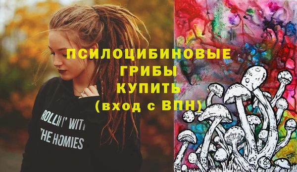 MDMA Инсар