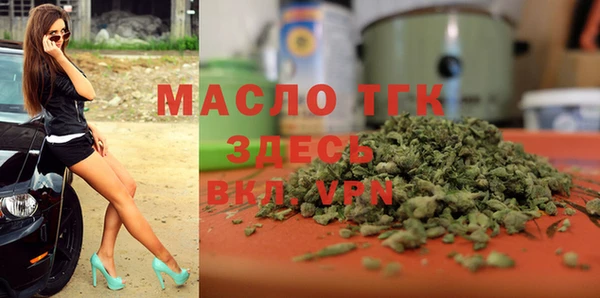 гидра Инта