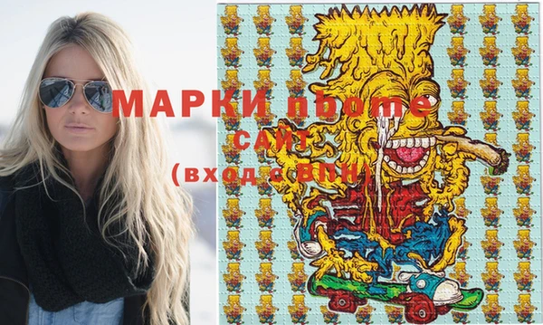 гидра Инта