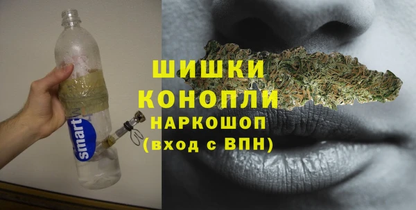 гидра Инта