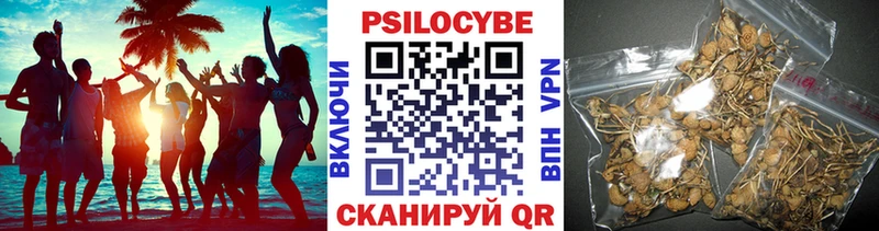 Галлюциногенные грибы Psilocybine cubensis  Сосногорск 